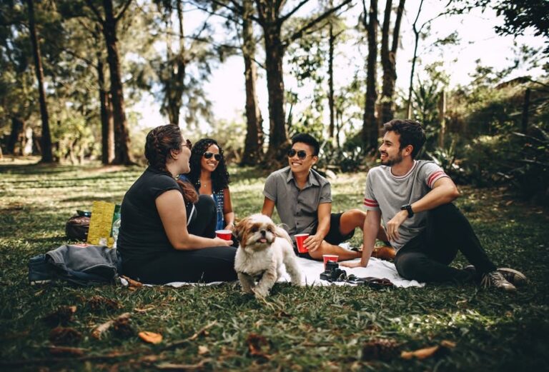 group of friends on a picnic