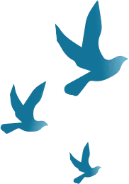 birds-banner
